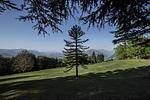 Swiss Historic & Garten Hotel*** Villa Carona - Top-Hundeurlaub