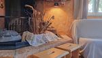 Apartment Barbara 1 - Top-Hundeurlaub
