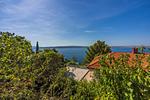 Apartment Azur 1 - Top-Hundeurlaub