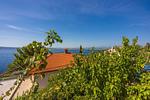 Apartment Azur 1 - Top-Hundeurlaub