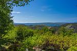 Apartment Francisko - Top-Hundeurlaub
