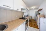 Apartment Pavicic Klenovica - Top-Hundeurlaub