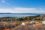 Apartment Pavicic Klenovica - Top-Hundeurlaub