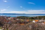 Apartment Pavicic Klenovica - Top-Hundeurlaub