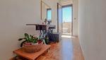 Apartment Studio Nina - Top-Hundeurlaub