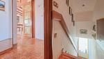 Apartment Studio Nina - Top-Hundeurlaub