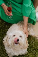 4* Hotel das Eisenberg  - Top-Hundeurlaub