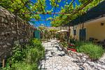 Casa Manas - Top-Hundeurlaub