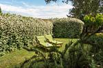 Ferienhaus Green Marea - Top-Hundeurlaub