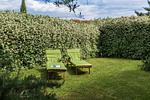 Ferienhaus Green Marea - Top-Hundeurlaub