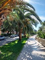 Ferienwohnung Pavica 1 - Top-Hundeurlaub