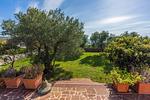 Villa Olive Tree - Top-Hundeurlaub
