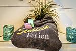 Ferienhaus Lieblingsplatz  by Seeblick Ferien ORO, direkte Wasserlage,Sauna,Kamin - Top-Hundeurlaub