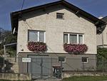 Haus Iris  - Top-Hundeurlaub