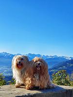 Gemütliche Giebelwohnung Gipfelstürmer - Top-Hundeurlaub