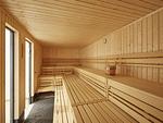 Sauna - Premium Reetdachvilla mit 3 Schlafzimmern, Sauna und Kamin (E03) - Top-Hundeurlaub