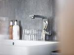 Badezimmer - Luxus Reetdachvilla mit 3 Schlafzimmern, Sauna und Kamin (E07) - Top-Hundeurlaub