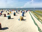 Huus Wattenmeer - Top-Hundeurlaub