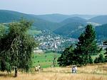 Komfort-Ferienwohnung PenthausBlick - Top-Hundeurlaub