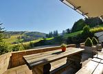 Quartier12  "Ski in & Bike out" - Fewo LIEBE - Top-Hundeurlaub