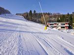 Quartier12  "Ski in & Bike out" - Fewo Hang - Top-Hundeurlaub