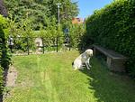 Erde - 8001 - Sol y Mar - Top-Hundeurlaub