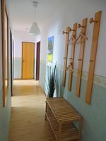 5050 - Saarstraße 2a - Top-Hundeurlaub