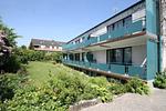 5050 - Saarstraße 2a - Top-Hundeurlaub