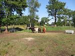 Happyness FeWo Smarthome - Top-Hundeurlaub