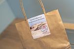 Dekoratives Detail - Strandfuchs 2 - Top-Hundeurlaub