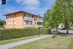Ferienwohnung Sonnenblick - Top-Hundeurlaub