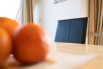 Dekoratives Detail - Ferienwohnung Nr. 37 - Top-Hundeurlaub
