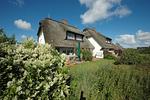 Arnika Hof Hausteil 24 - Top-Hundeurlaub