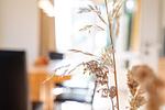 Wohnzimmer - Ferienwohnung Nr. 29 - Top-Hundeurlaub