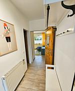 Collins Stiftung - Top-Hundeurlaub