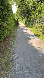 Schicke Fewo Philippsburg - Top-Hundeurlaub