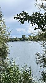 Schicke Fewo Philippsburg - Top-Hundeurlaub