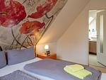 Gartenrose - Top-Hundeurlaub