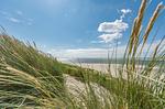 Huus unner Lee 3 - Top-Hundeurlaub