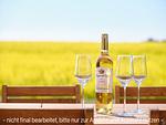 Terrasse - LuxusPlus Reetdachvilla mit 4 Schlafzimmern, Sauna und Kamin (G10) - Top-Hundeurlaub