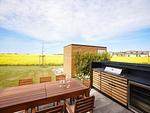 Terrasse - LuxusPlus Reetdachvilla mit 4 Schlafzimmern, Sauna und Kamin (G11) - Top-Hundeurlaub
