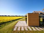 Sauna - LuxusPlus Reetdachvilla mit 4 Schlafzimmern, Sauna und Kamin (G11) - Top-Hundeurlaub