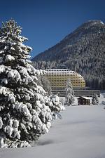 AlpenGold Hotel Davos - Top-Hundeurlaub