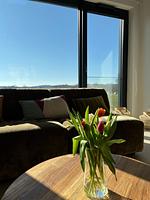 Loft 29, Huus Blomen - Top-Hundeurlaub