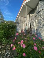 Rosen - Ferienhaus Ryokan - Top-Hundeurlaub