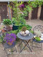 Stilvolle FeWo Finsterwalde - Top-Hundeurlaub