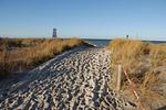 Der Weg zum Strand - Haus Rose - Top-Hundeurlaub