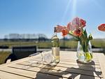 Terrasse - Ferienhaus Seeblick 19 Feriendorf Klein Stresow Rügen - Top-Hundeurlaub