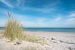 Strand - Kurpark Carré 25 Meeresglück - Top-Hundeurlaub