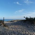 Strand - Kurpark Carré 25 Meeresglück - Top-Hundeurlaub